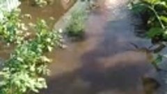 ПРИРОДНЫЕ СТИХИИ. Наводнение в Иркутской области достигло го...