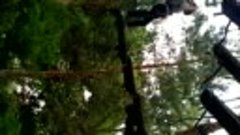 VID_20190512_154102.3gp