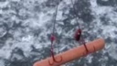 Рыбалка на ТОНКОМ льду с ХОТ-ДОГАМИ