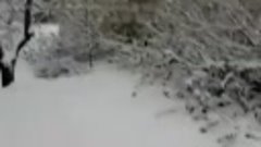 Снег ст Казанская Ростовская обл
