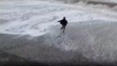 Неравнодушный парень спас птицу от шторма в Абхазии