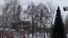 Благоустройство сквера в Ленинском округе Иркутска