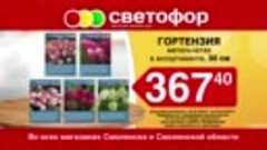 С 26.02 (1).mp4