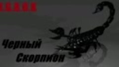 I.G.R.O.K-Черный скорпион