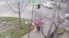 Женщина избила собаку-поводыря