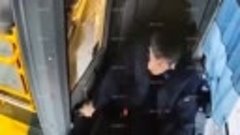 Появилось видео наезда автобуса на пешеходов в Петербурге