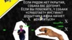 Правила безопасности