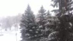 Снегопад в Инжавино 04.02.2015