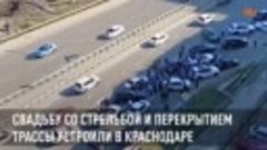 Свадьбу со стрельбой и перекрытием трассы устроили в Краснод...