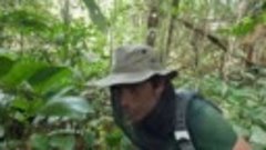 Wilderness with Simon Reeve episode 1 - Congo