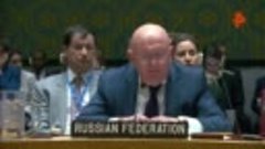 Небензя на СБ ООН по Украине