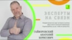 Эксперты на связи. Выпуск 8. Гайворонский Анатолий и Титов А...