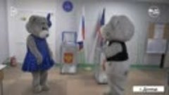 Семья медведей проголосовала в Донецке