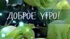 Доброе утро 