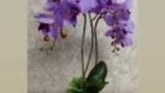 Цветочная композиция с орхидеями из латекса.