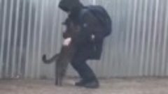 Школьник приласкал бездомного кота