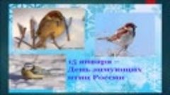 15 января день зимующих птиц