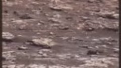 Обман НАСА о фотографиях с Марса