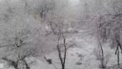Снегопад в Алматы. Февраль 24 года. 