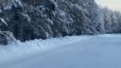 Видео от Национальный парк Бузулукский бор