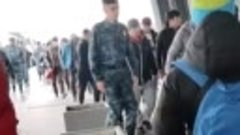 Мигрантов массово депортируют из Петербурга