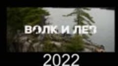 Волк и Лев. (2022).