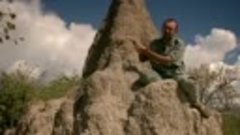 S01E01 Nature Knows Best 2010