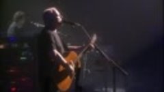 David Gilmour - Remember That Night_  Live At The Royal Albe...