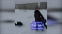 В Саратове женщина ударила чужого ребенка из-за снеговика