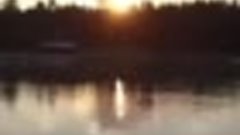 VID_20240219_133941_871.mp4