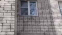 В Дзержинске женщина выбросила из окна четвёртого этажа четы...
