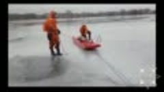Спасатели в Лепеле достали из полыньи дикую козу — видео