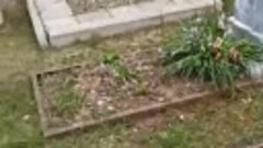 WhatsApp Video 2024-05-09 at 11.48.18