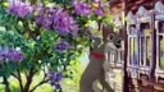 WhatsApp Video 2024-04-22 at 12.46.08