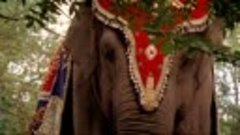 Слон и принцесса (Принцесса слонов, Принцесса из Манджипура)...
