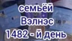 Пьём семьёй Вэлнэс 1482 - й день ПОДРЯД 