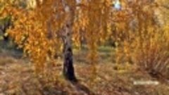 Марк Зуев - Осенний вальс (480 x 854)