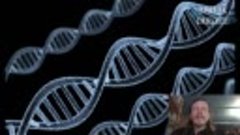 Стеганография ДНК и метка зверя