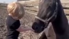 Лошади чувствуют маленьких деток, и понимают что малыши не п...