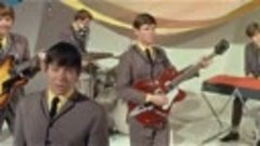 THE ANIMALS - Don&#39;t Let Me Be Misunderstood