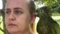 Смотреть со звуком женщина ругается со своим попугаем