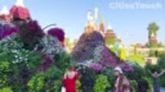 Dubai 🇦🇪 Miracle Garden - Чудо-сад Дубая