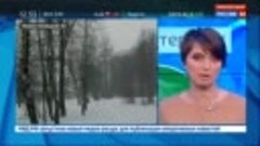 Погода 24_ в центральной России ожидается новый рекорд тепла