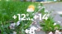 Погода в Солигорске на 10 мая