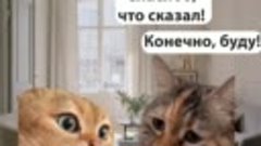 Видео от новости Коченёво - газета Коченёвские вести.mp4