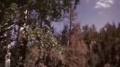 Североуральск.1973 год.Видеозарисовка.