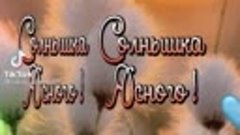     ТЕПЛА И ДОБРОТЫ  ВАМ. ПУСТЬ ВСЁ БУДЕТ ХОРОШО👍👌. 