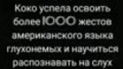 Горилла Коко. Послание отупевшему человечеству.(1)