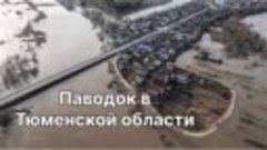 паводок в Тюменской области