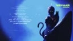 CHEPIKK - Чёрная кошка (Премьера песни_ 2024)(720P_HD).mp4